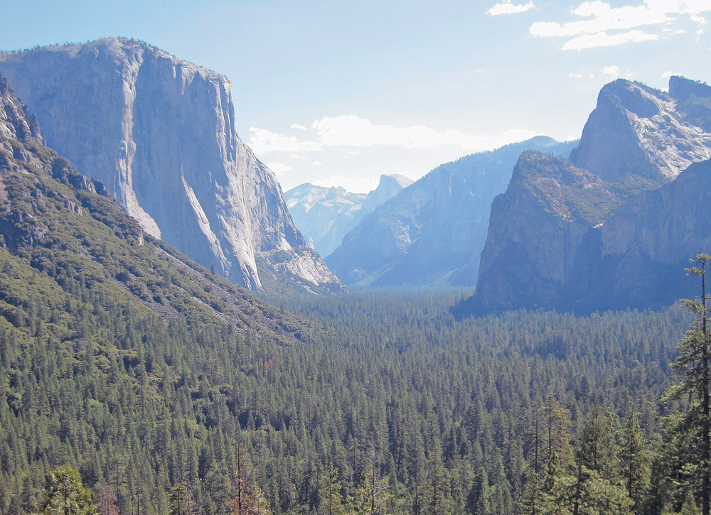YosemiteSequoia