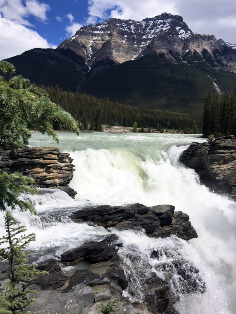 tauck tours best of the canadian rockies