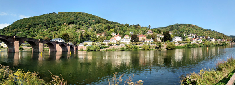 Romantic Rhine With Avalon